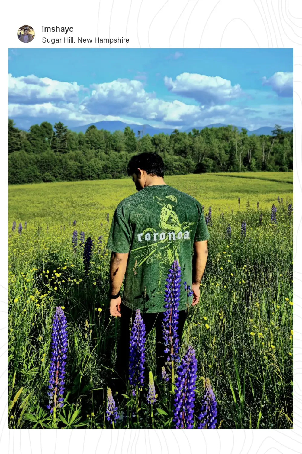 Roronoa Zoro v4 Limited Edition Unisex Shirt